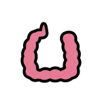 Large Intestine SVG Icon